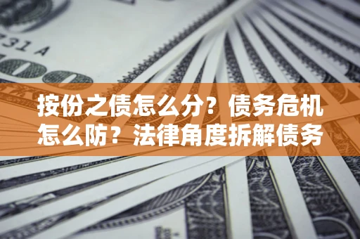 武汉按份之债怎么分？债务危机怎么防？法律角度拆解债务分配与风险自保指南