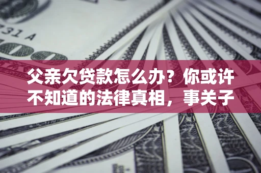 武汉父亲欠贷款怎么办？你或许不知道的法律真相，事关子女未来