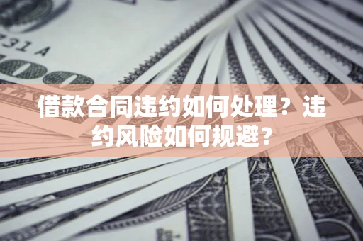 武汉借款合同违约如何处理？违约风险如何规避？