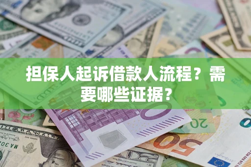 武汉担保人起诉借款人流程？需要哪些证据？